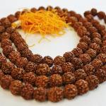 F309 Auspicious ~108 Rudrakshya Prayer Japa Mala for Meditation Handmade in Nepal
