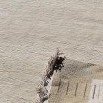 thamelmartUSA R8303 Gorgeous Custom Made Cream Colored Hand Made Tibetan Woolen Area Rug 5.7 Feet X 7.10 Feet Made in Nepal