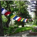 Tibetan Prayer flags ~ 5 ROLL SET ~ Tara flag x 50