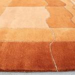 Thamel Mart R4997 One of a Kind Thick Woolen Pile Tibetan Area Rug 5.7' X 7.10' Handmade in Nepal