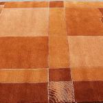 Thamel Mart R4997 One of a Kind Thick Woolen Pile Tibetan Area Rug 5.7' X 7.10' Handmade in Nepal